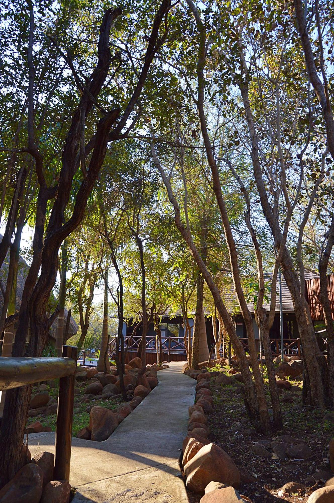 Royal Marlothi Kruger Safari Lodge And Spa Marloth Park Zewnętrze zdjęcie